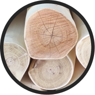 ALT robinia-akacjowa.png
